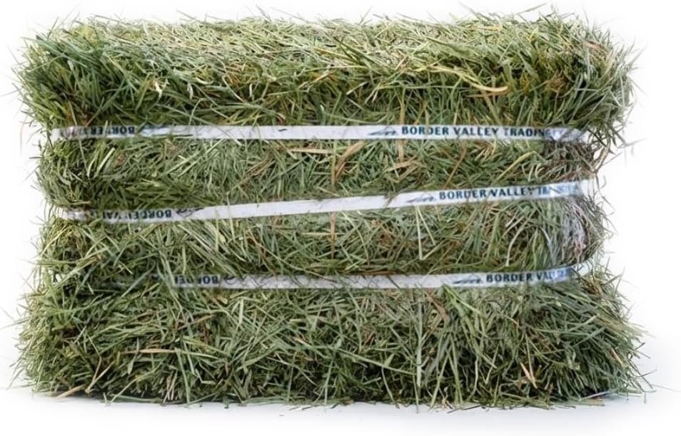 Border Valley Orchard Grass Hay for Rabbits & Guinea Pigs, 40 lb Bale | Soft leafy high fiber grass hay, also for chinchillas, tortoises, horses & livestock, farm-to-home freshness