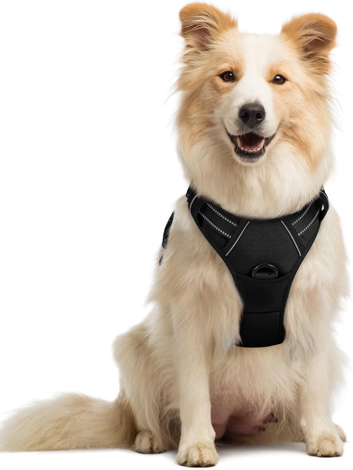 rabbitgoo Dog Harness, No Pull Medium Sized with 2 Leash Clips, Pet Vest | No Choke with Handle, Adjustable Soft Padded, Reflective, Easy Control for Walking, Black, Medium