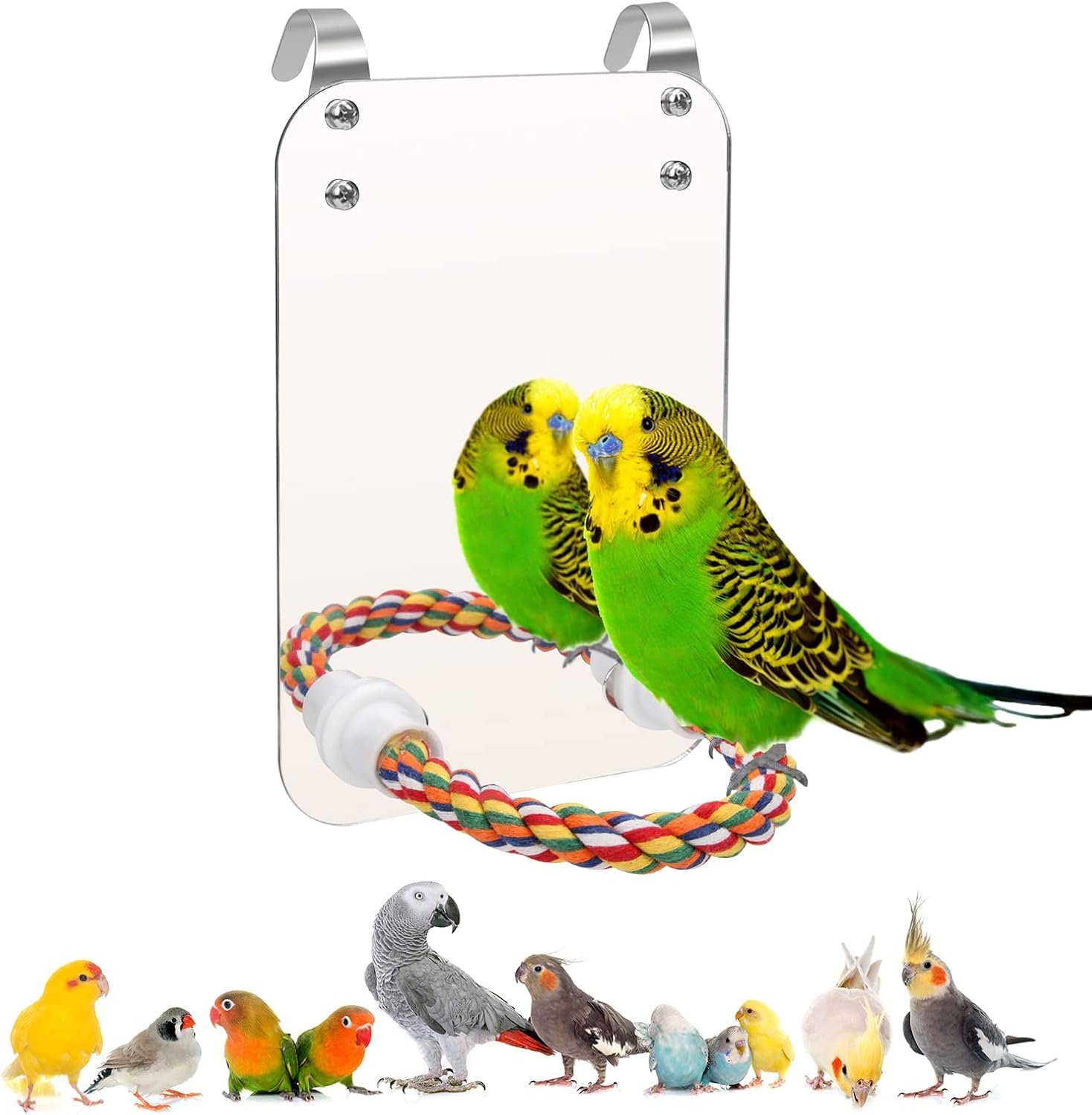 7‘’ Bird Mirror for Cage, Coolrunner Bird Parrot Mirror with Rope | for cockatiel conures, lovebirds, Parrot, canaries, and budgies