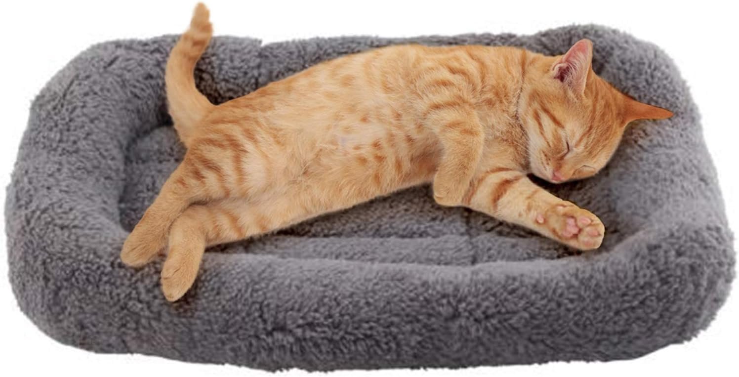 Enjoying Cat Mat Bed 10″ x 15″ Pet Bed with Pillow Around for Puppy Kitten Curled Sleeping Beds for Carrier/Crate Small Dog Cushion, Anti Skid Bottom, Small