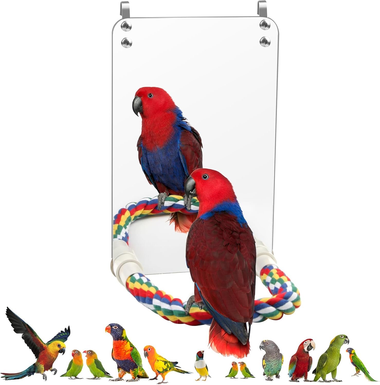 9.4‘’ Bird Mirror for Cage, Coolrunner Bird Parrot Mirror with Rope | for cockatiel conures, lovebirds, Parrot, canaries, and budgies
