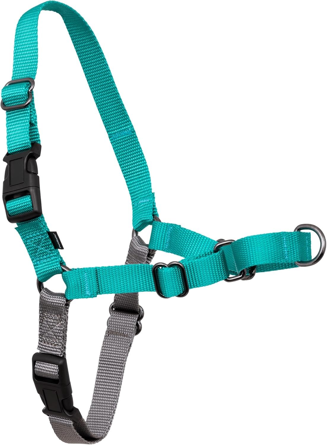 PetSafe Easy Walk Harness for Dogs – Pull-Free Walks – Patented Martingale Loop Design – Front Chest Leash Attachment – Comfort Straps – Breathable Harness Design – Medium, Teal/Gray