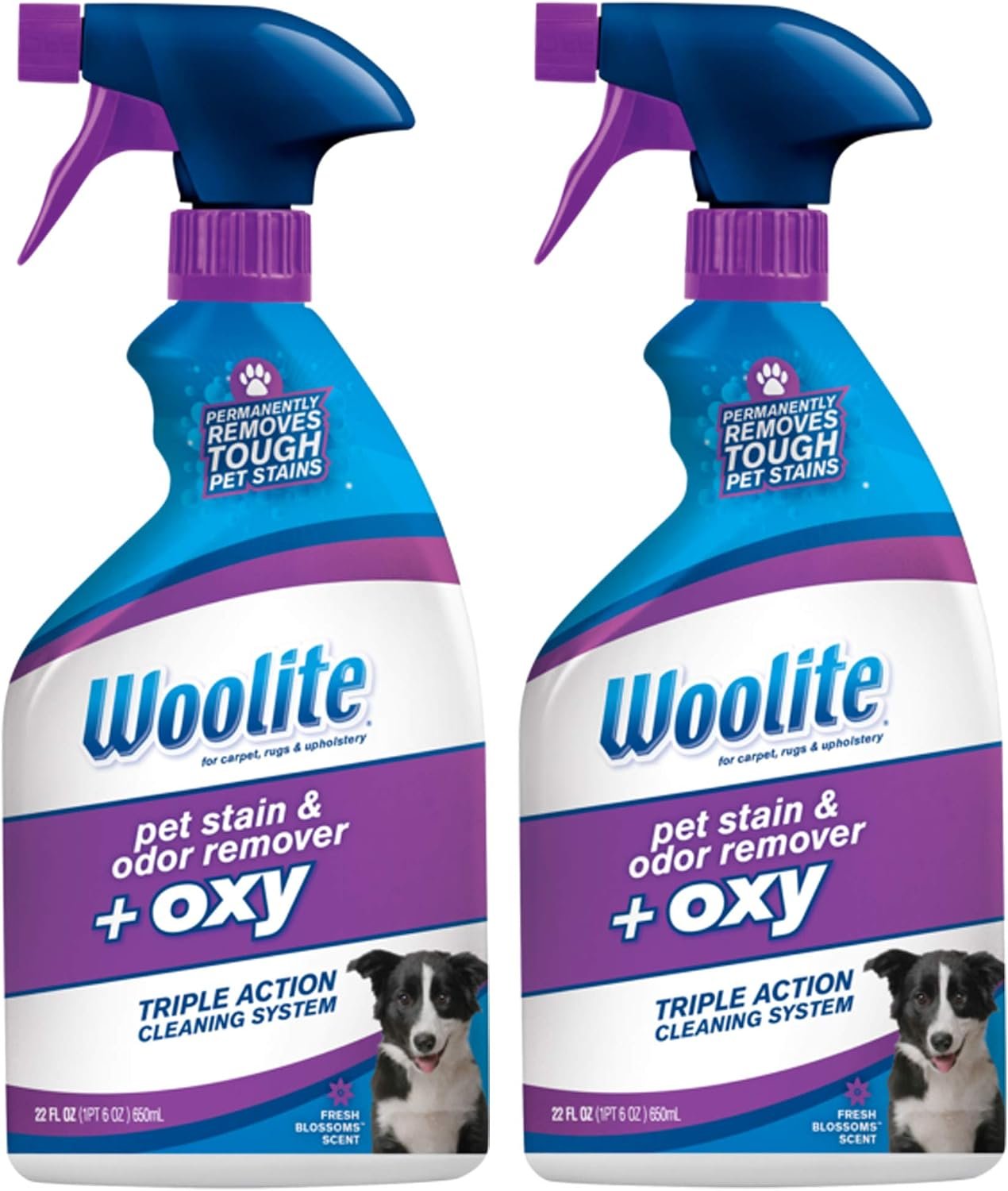 Woolite Pet Stain and Odor Remover Plus Oxy, 22oz (Pack of 2), 2834