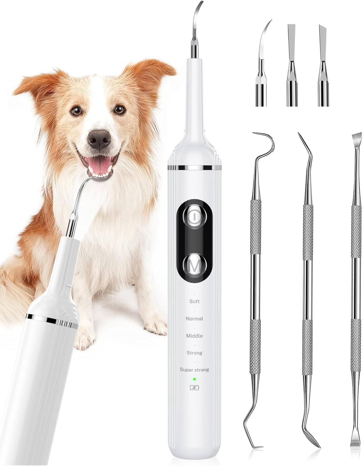 NATURE NERDS Plaque Remover for Teeth, Pet Tooth Brushing Kit, Dental Tools to Remove Plaque and Tartar, Safe for Dog and Cat, with LED Light, White