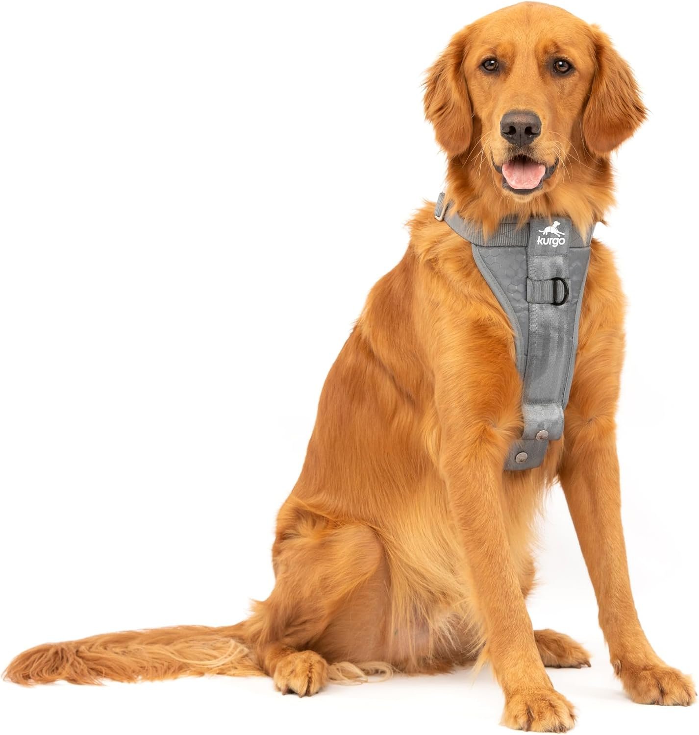 Kurgo Enhanced Strength Tru-Fit Smart Harness, Charcoal, Large | Crash Tested Car Harness for Dogs up to 75Lbs, Seatbelt Tether & Steel Carabiner, All-Steel Buckles, Padded Chest for Comfort