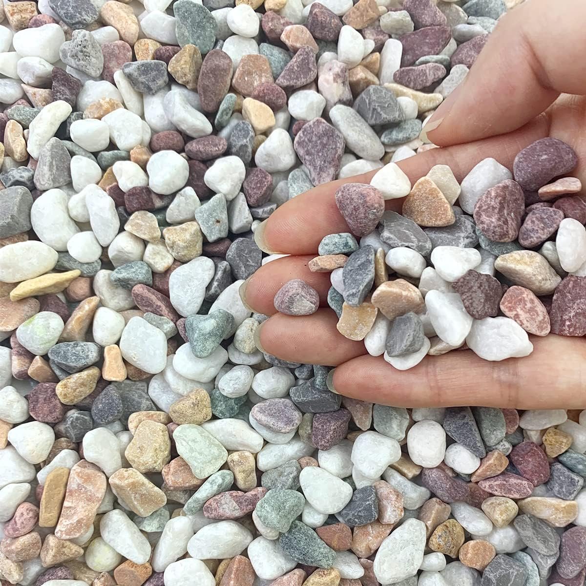 FANTIAN 2 lbs Pebbles for Indoor Plants, 3/8 inch Pea Gravel, Mixed Color | Decorative Polished Stones River Rocks for Plants, Succulents, Vases, Aquarium, Drainage, Outdoor Garden Landscaping