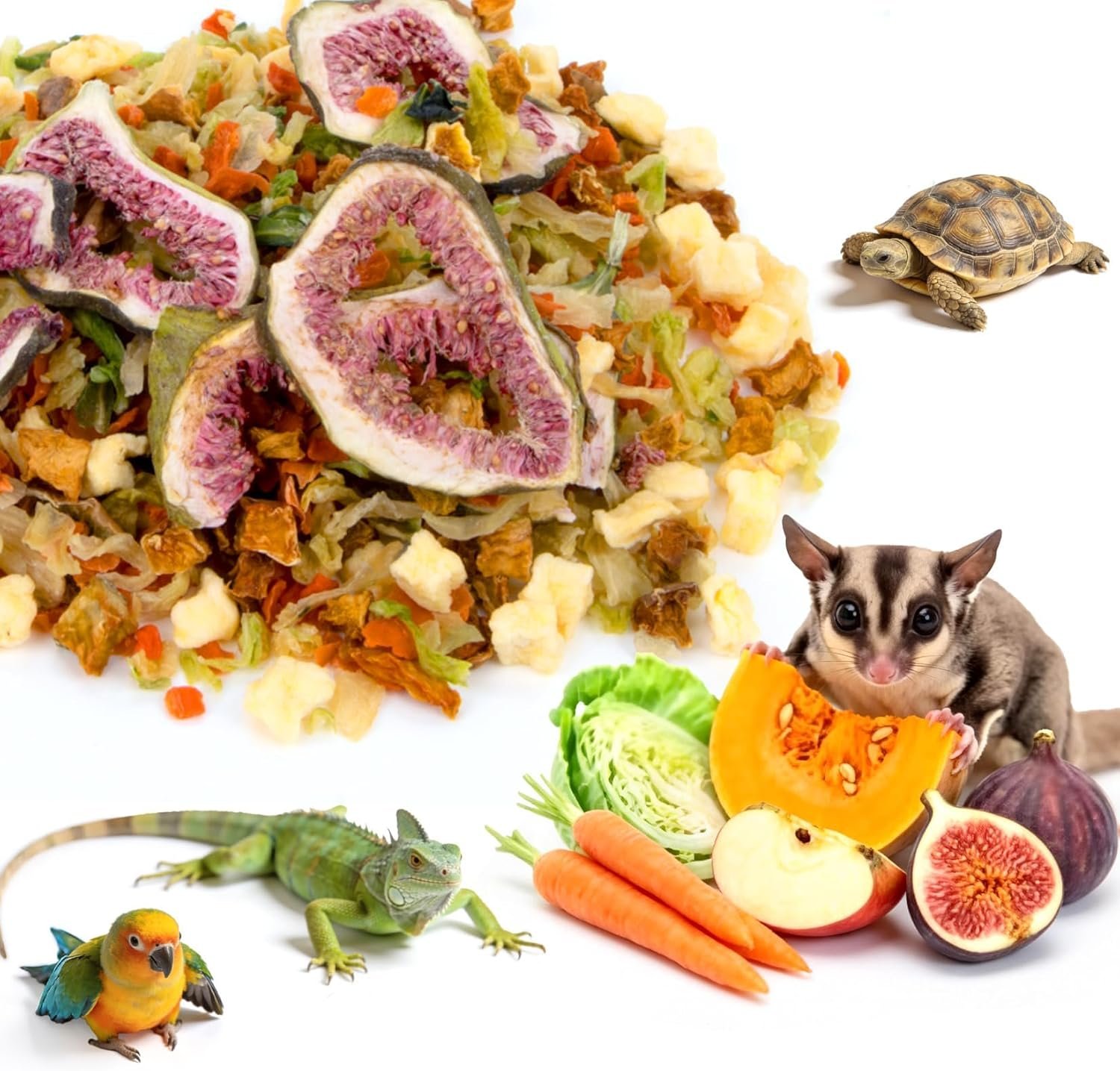 RAINFLOW High Calcium Dried Fruit & Vegetable Birds & Small Pet Food Mix | Calcium Supplement for Sugar Glider, Bird, Hamster, Parrot Treats Blend for Bearded Dragon, Guinea Pig, Rabbit & More