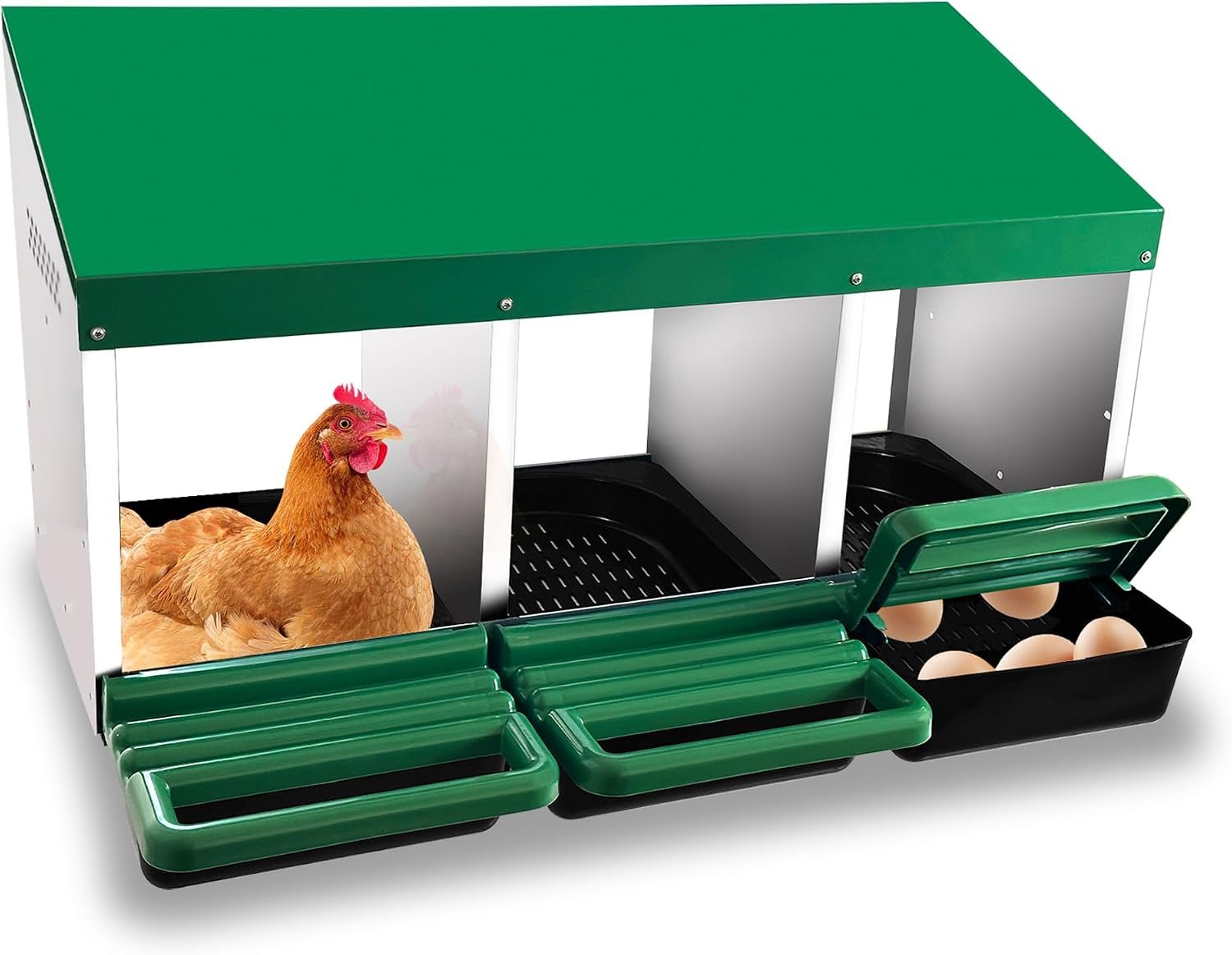 Eggluuz Chicken Nesting Box, 3 Compartments Chickens Egg Laying Nest Boxes for Hens Green