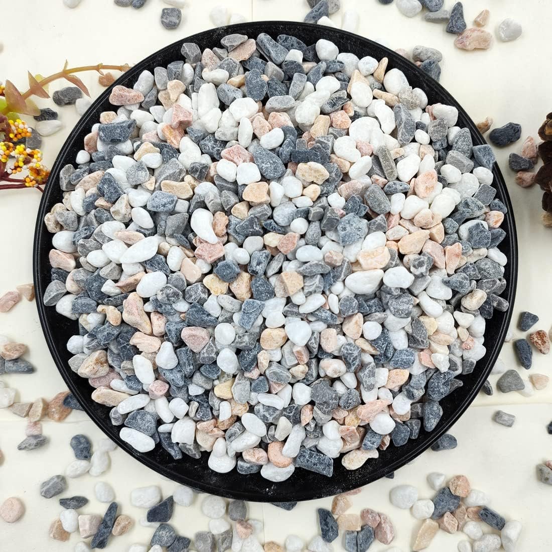2LB Succulent and Cactus Gravel Pebbles, 1/5 Inch Mixed Color | Natural Decorative Polished Stones River Rocks for Vases, Aquariums, Terrarium and Outdoor Gardening