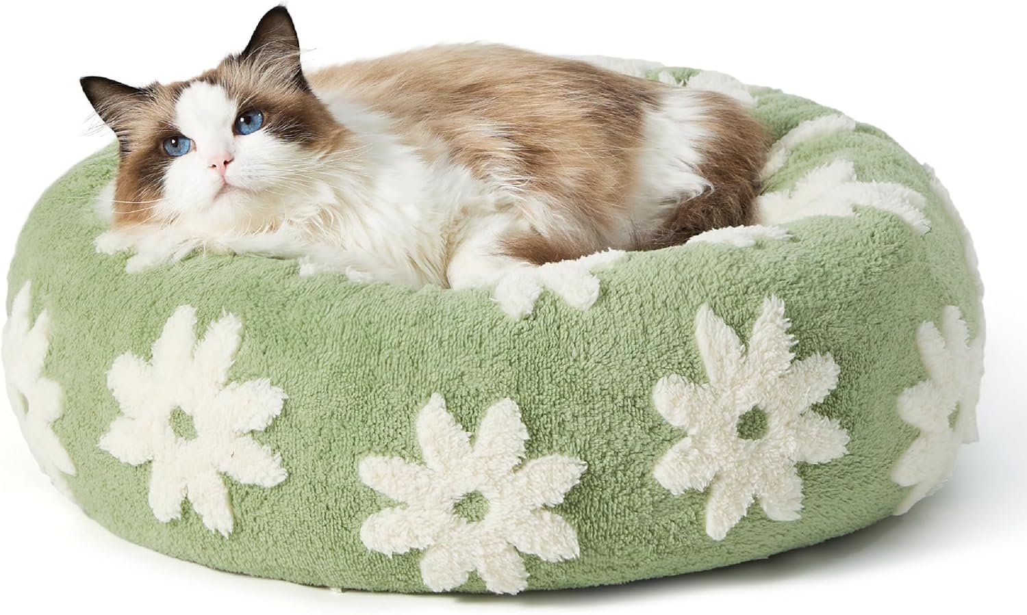 LE SURE Shown on TV Jacquard Donut Cute Cat Beds Indoor,Green 20x20x6in | Orthopedic Calming Small Dog Bed,Original Design Pattern,Washable Cover, Home Decor as Gift for Pet,Anti Slip Bottom