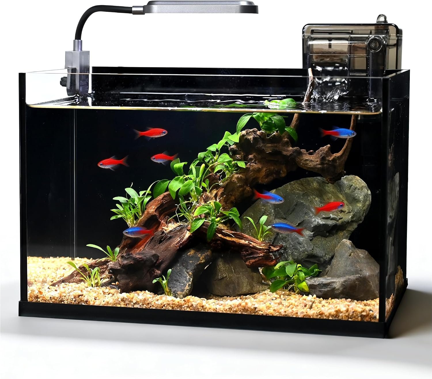 2.8 Gallon Glass Fish Tank,Small Fish Tank with Light and Filter | Aquarium Starter Kit,Nano Shrimp Aquarium for Small Fish, Shrimp,or Betta,Desktop Corner