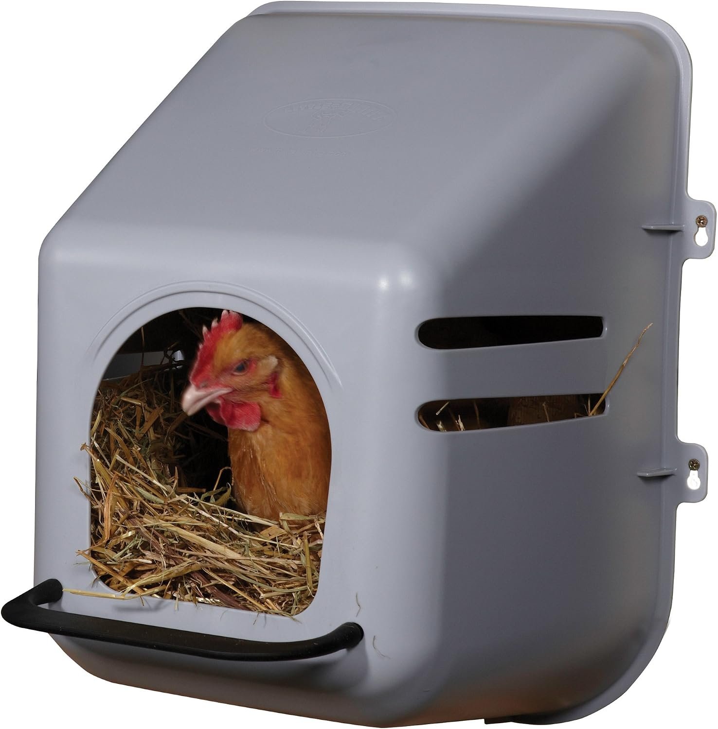 Little Giant Single Plastic Nesting Box Chicken Nest Box with Perch (Item No. 163620)