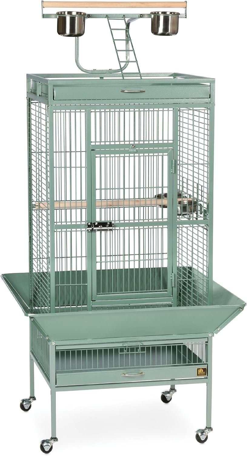 Prevue Hendryx Pet Products Wrought Iron Select Bird Cage 3152SAGE Sage Green, 24-Inch by 20-Inch by 60-Inch | Large Steel Cage with Rolling Stand, and Playtop, Durable Design, Ideal for Conures and Medium Birds