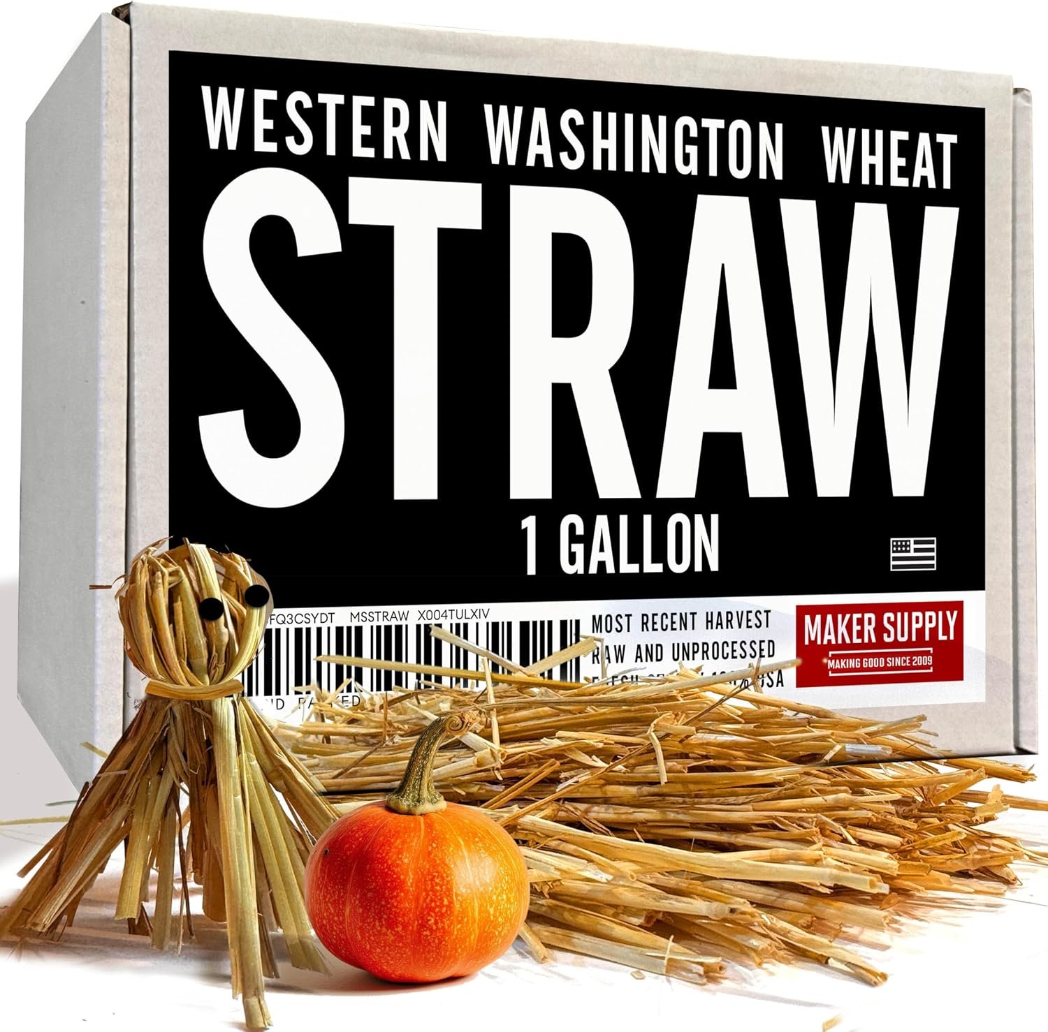 Straw – 1 Gallon Box from Local Washington Farm for Crafts, Decorative Hay, Scarecrows & Small Pet Bedding, Fresh Harvest Smell, Fall Halloween & Thanksgiving DIY with Raw, Unprocessed USA Wheat Straw