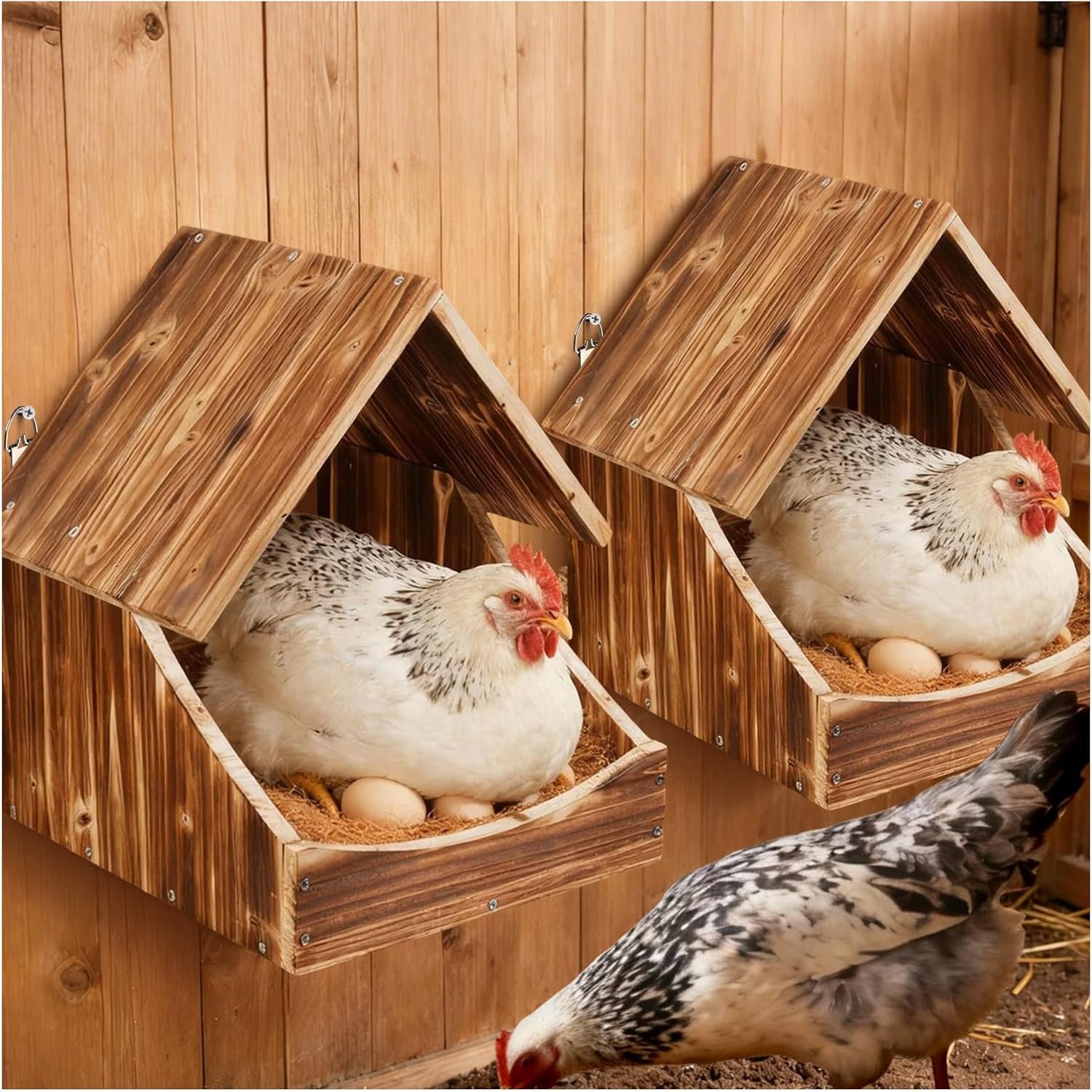 Chicken Nesting Boxes, 2 Pack Wall-Mounted Wooden Nesting Box, Specialized for Chicken Coops, Features a Cozy & Private Laying Space, Suitable for Chickens, Ducks and Other Poultry