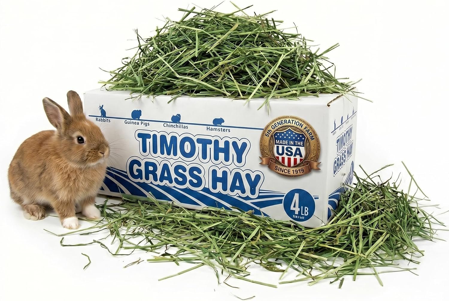 High Desert 2nd Cutting Timothy Hay for Rabbits, Guinea Pigs, 4 lb | Soft Leafy Texture With Balanced Fiber, Supports Healthy Digestion, Great For Chinchillas, Hand Packed in the USA, Low Dust
