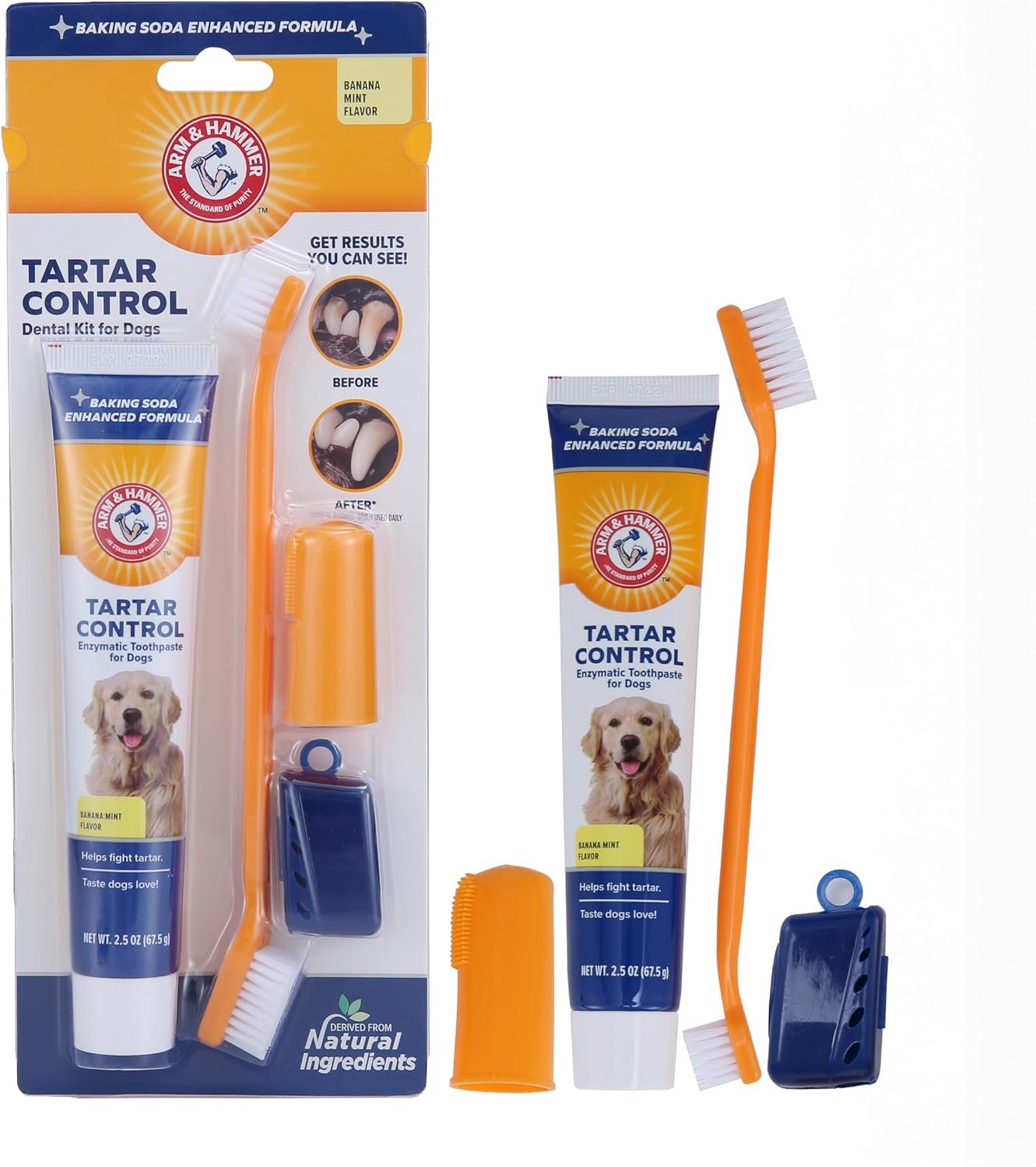 Arm & Hammer Tartar Control Dog Dental Kit, Banana Mint, 3-Piece | Enzymatic toothpaste with toothbrush and fingerbrush, baking soda formula safe for puppies
