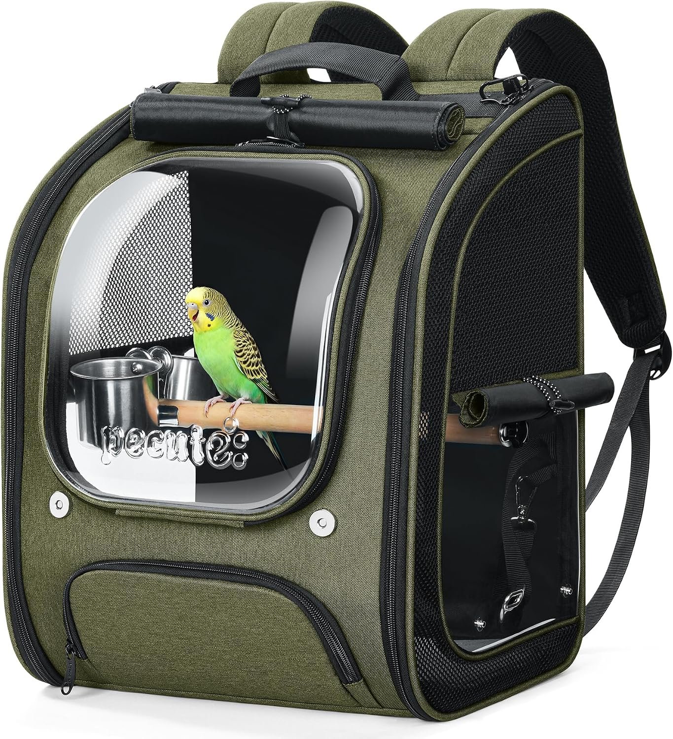 Pecute Bird Backpack Carrier with Standing Perch for Small Parrot, Green | Transparent window, breathable design with comfy mat, ideal for vet visit, shopping and outdoor adventures