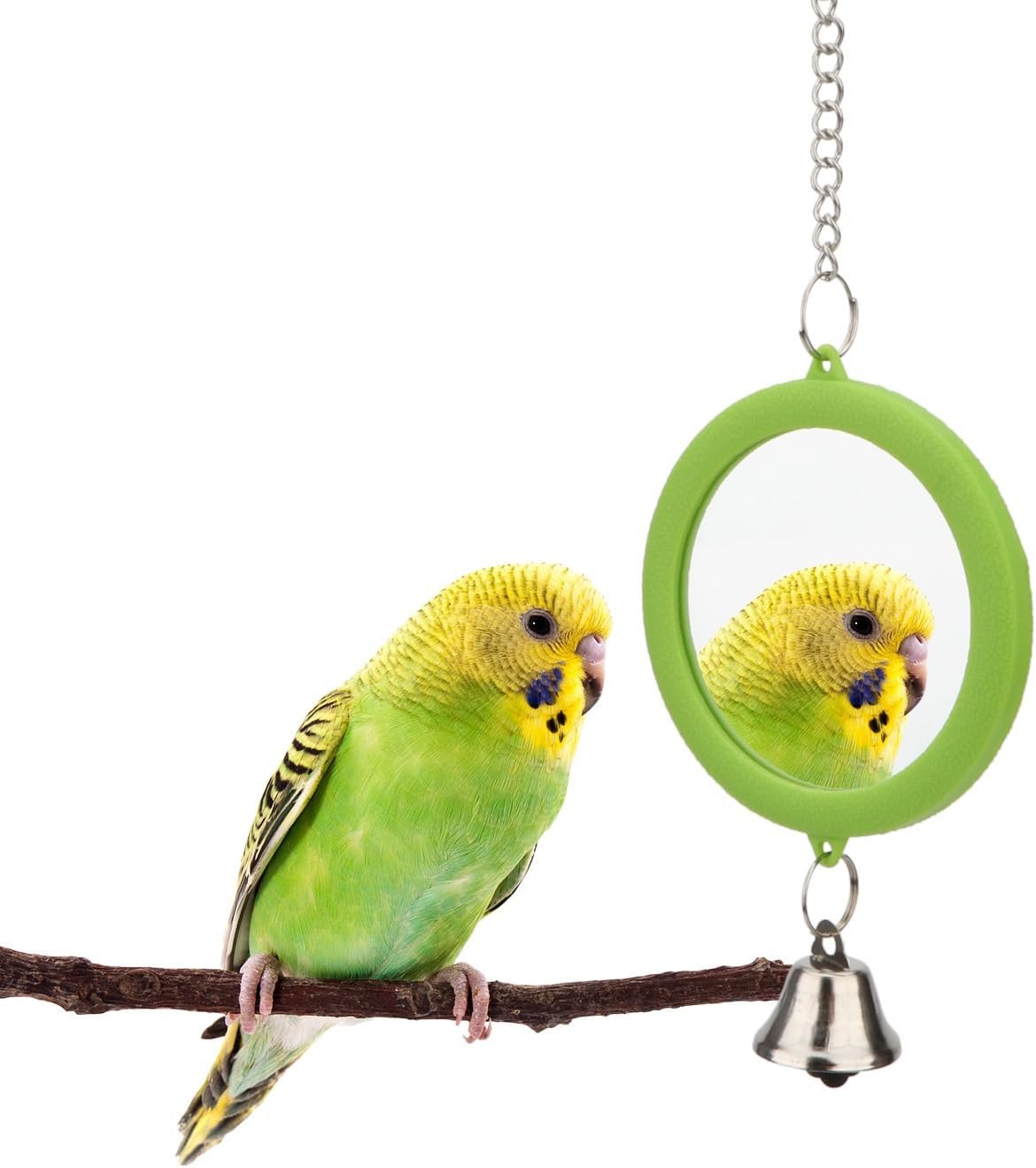Hypeety Bird Mirror Toy with Bell Cage Interactive Parrot Hanging Mirror | Clear acrylic mirror, round shape, easy to hang, for cockatiel/parakeets/canaries/budgies, bird cage accessories, green