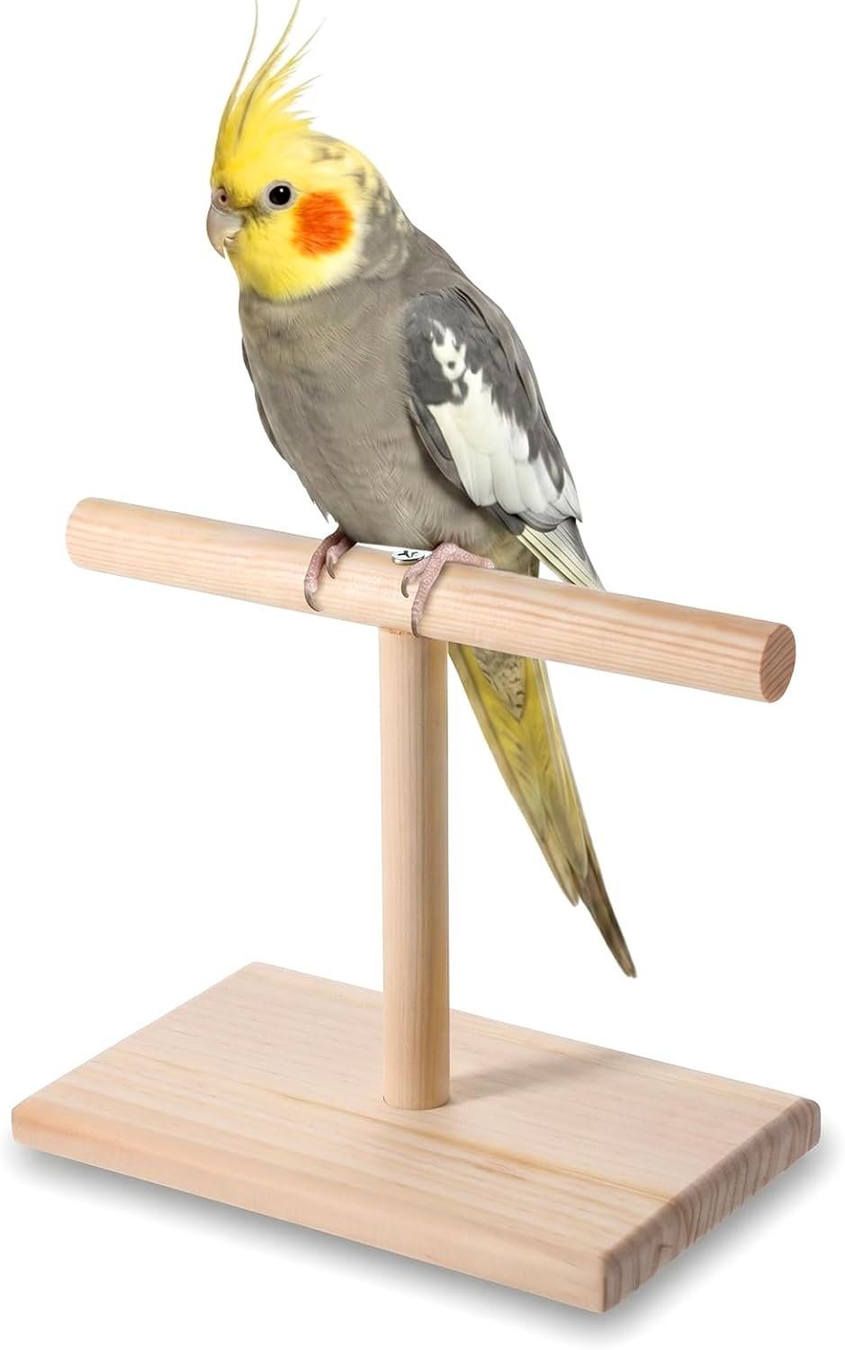 Bird Perch Stand, Bird Training Portable Tabletop Parrot Stand | Parakeet Perches for Cockatiels, Conures, Macaws, Finches Lovebirds