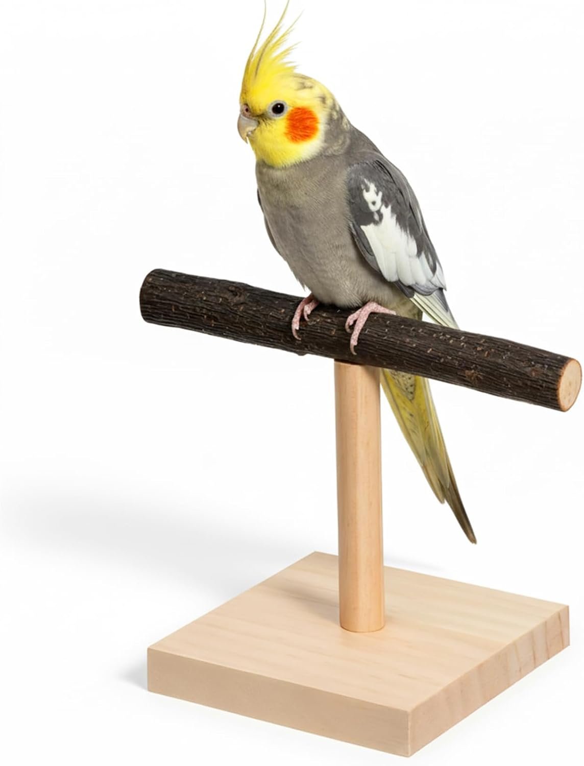 Bird Perch Stand Bird Training Stand Portable Tabletop Parrot Stands Natural Wood Parakeet Perches for Parakeets Cockatiels Conures Macaws Finches Lovebirds