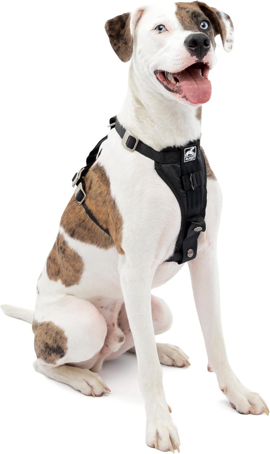 Kurgo Enhanced Strength Tru-Fit Smart Harness, Black, Medium | Crash Tested Car Harness for Dogs up to 75Lbs, Seatbelt Tether & Steel Carabiner, All-Steel Buckles, Padded Chest for Comfort