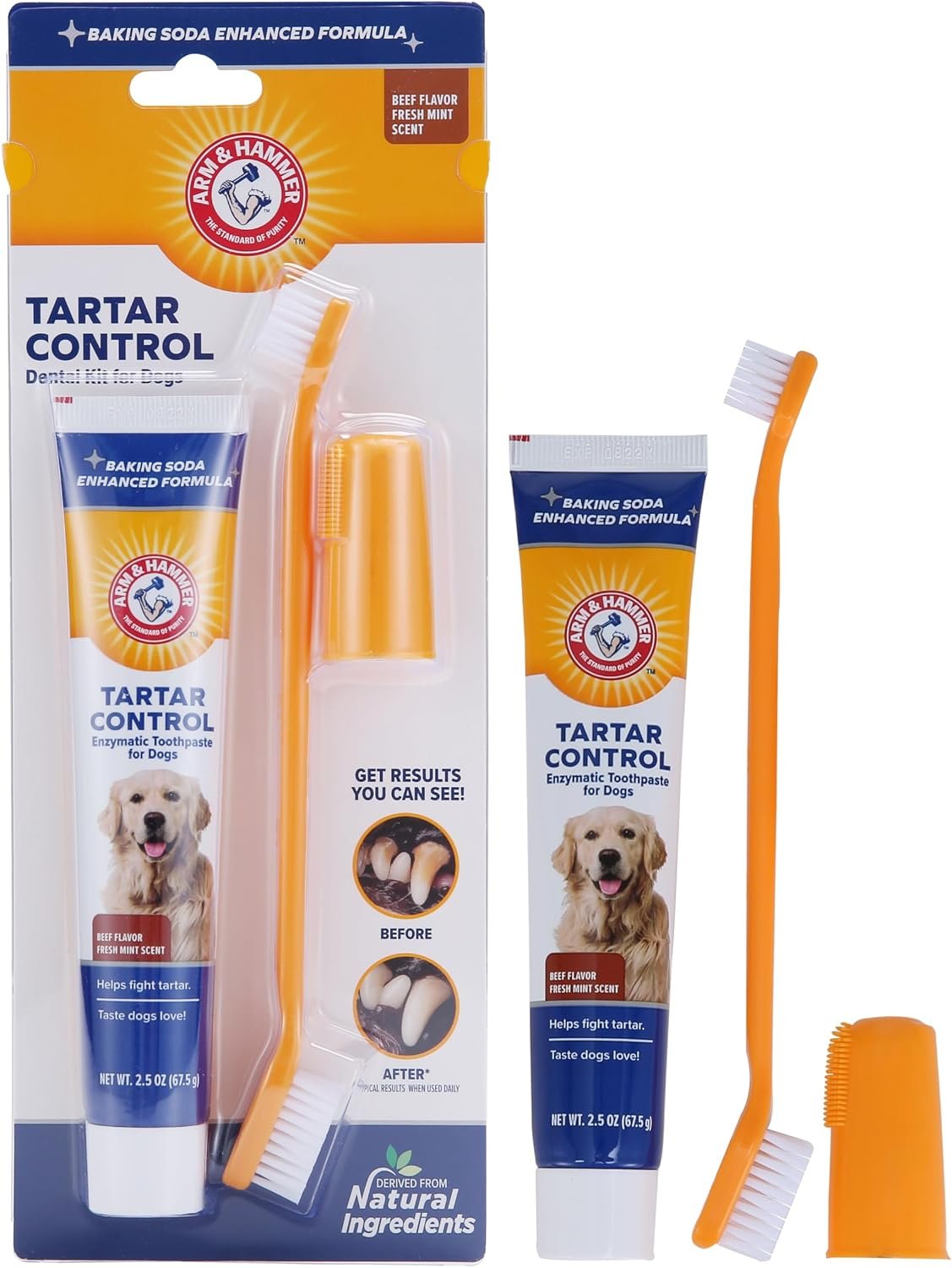 Arm & Hammer Tartar Control Dog Dental Kit, Beef Flavor, 3-Piece | Enzymatic toothpaste with toothbrush and fingerbrush, baking soda formula safe for puppies