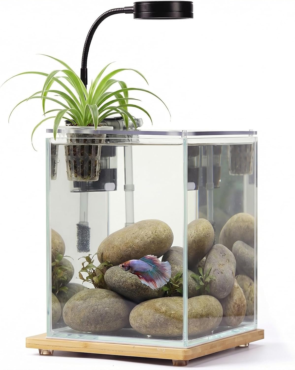 2.5 Gallon Nano Aquarium Kit with Bamboo-Base LED Light, Hanging Filter & Hydroponic-Ready Lid – Ideal for Betta, Shrimp, or Aquatic Plants