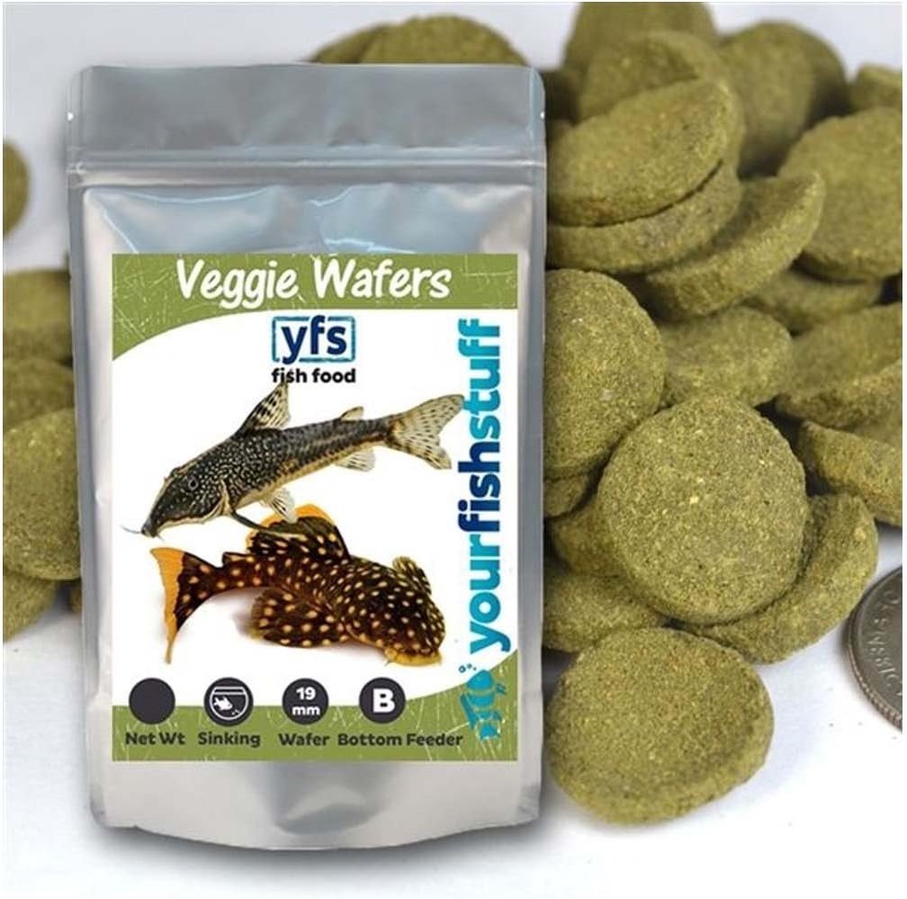 Spirulina Veggie Algae Wafers Pleco Catfish Tropical Bulk Fish Food ONE LB – Bottom Feeders