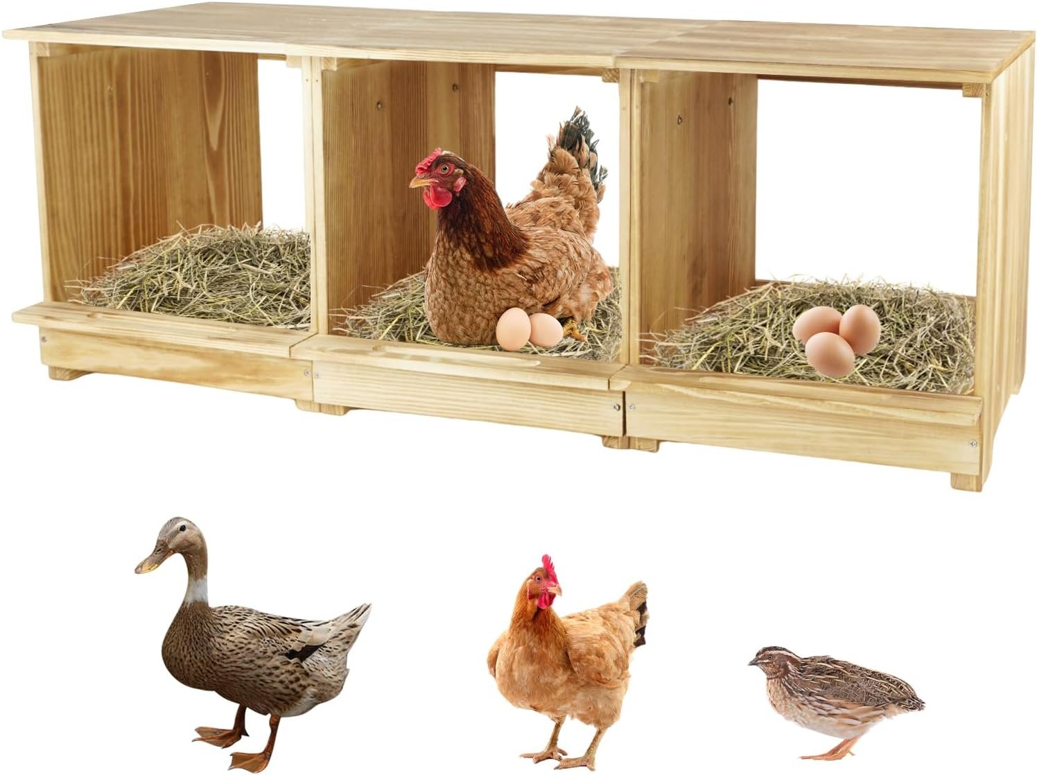 Nesting Boxes for Chickens 3 Compartments Chicken Nesting Boxes Wall Mount Nest Box for Chicken Coop Versatile Use Wood Nesting Boxes for Hens Easy to Assemble for Chickens, Hens, Ducks