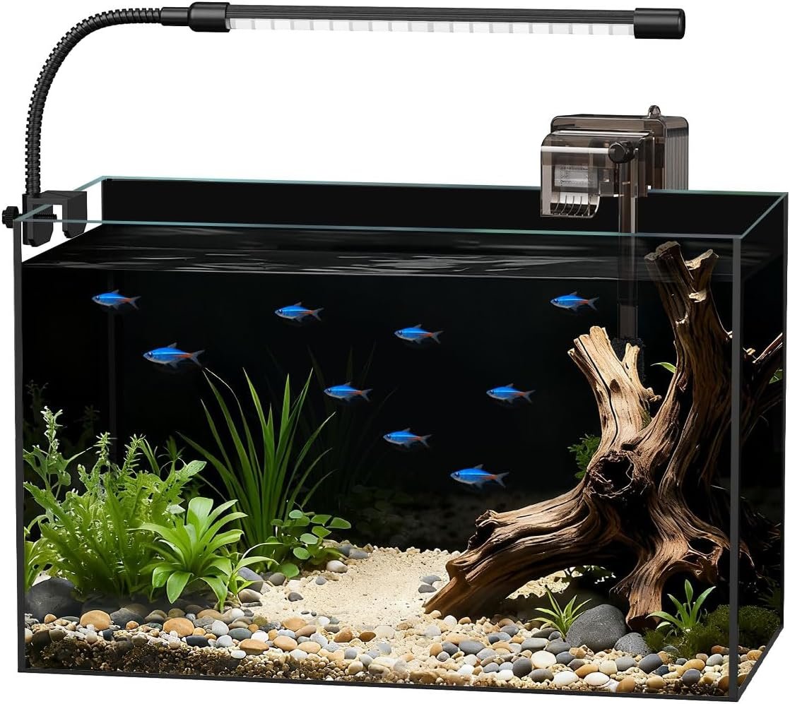 5 Gallon Rimless Glass Fish Tank Aquarium Starter Kit | Complete Aquarium Kit with Adjustable LED Light, Lid, for Betta, Shrimp,Easy Setup & Maintenance Filter, Black
