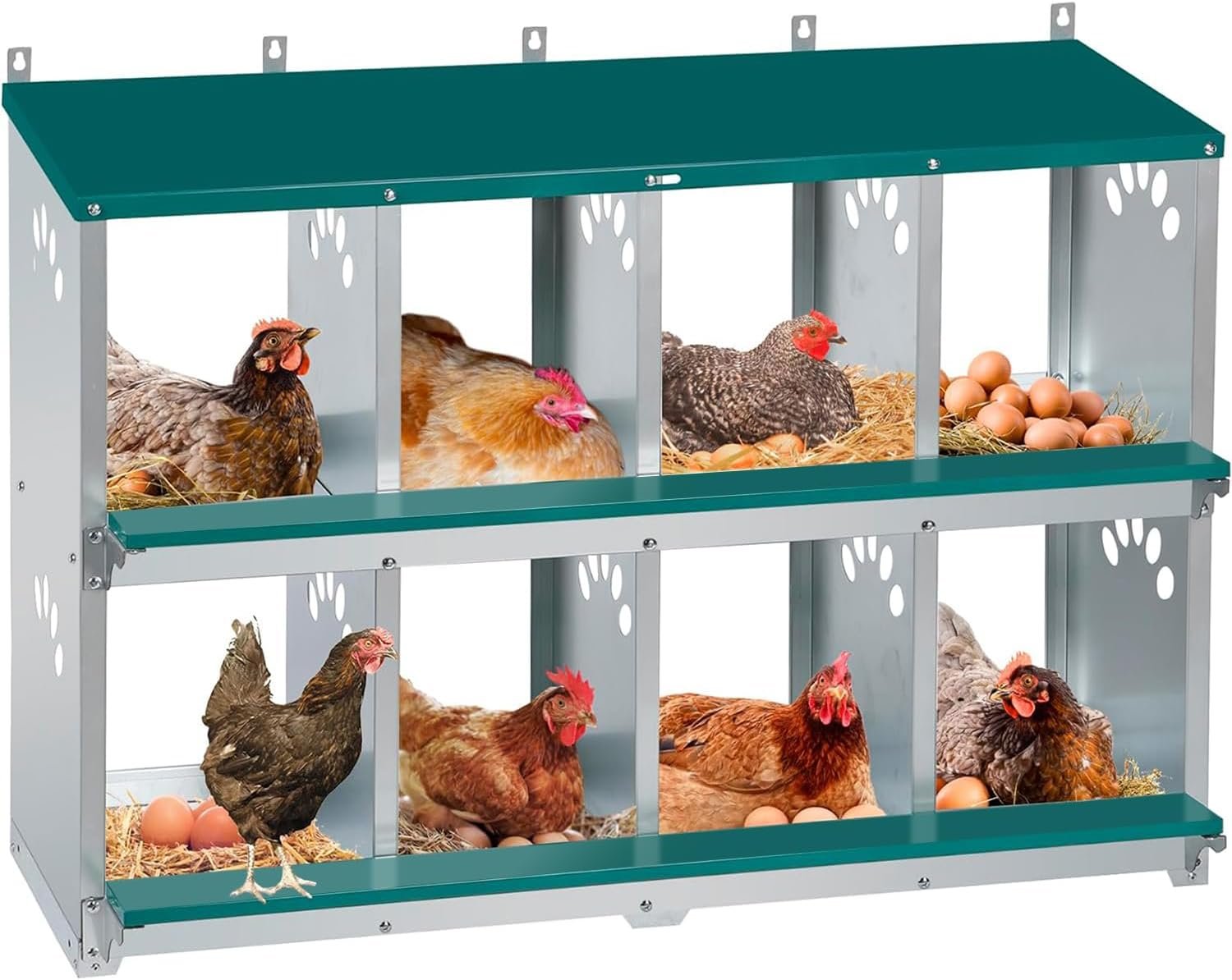 Chicken Nesting Box, 8 Compartment Metal Nesting Box | Wall Mountable Nesting Boxes for Chicken, 42.5″ L x 13.0″ W x 25.0″ H, Green