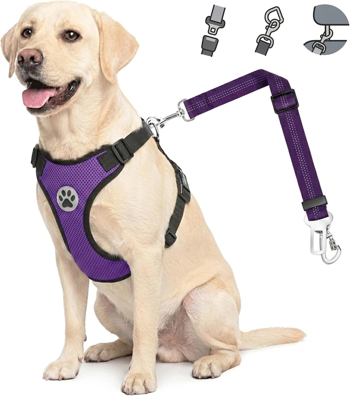 Lukovee Dog Car Harness Seat Belt, Harness & Seatbelt with 2 in 1 Buckle | Adjustable Soft Breathable Mesh Harness, Reflective Elastic Reflective Tether, for Small Medium Large Dogs Pets (Purple,M)