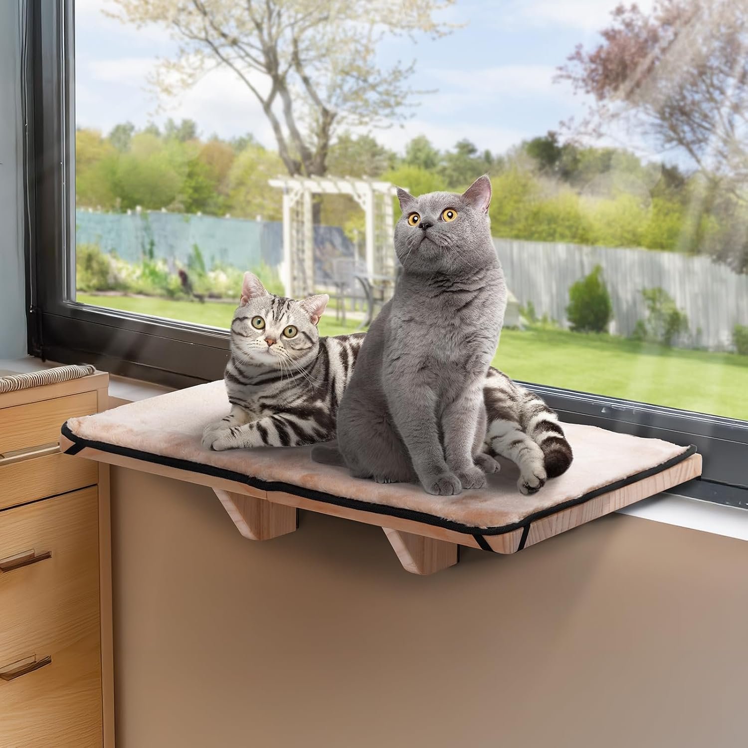 PETSFIT Cat Window Perch for 2 Cats, Adjustable, Solid Wood, Removable Mat | Natural Wood Cat Hammock, Tool-Free Assembly, Fits Large Cats, Windowsill Bedside Drawer Use, Washable Cushion Included