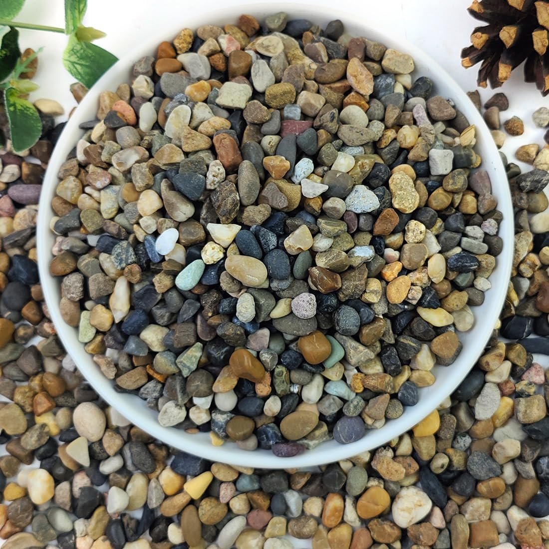 5lbs Aquarium Gravel, 1/4″ Fish Tank Gravel Natural River Rocks | Succulent Cactus Pea Gravel for Plants, Pebbles for Gardening, Flower Pots, Vase Fillers, Indoor Water Fountains, Landscaping