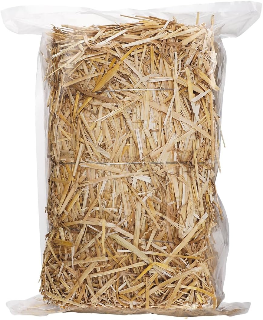 Acostop Natural Dry Wheat Straw for Garden Mulch Stray Cats Dogs Shelter | 1 LB Clean Soft Warm Chicken Coop Yard Farm Pets Bedding, Decorative Straw Bale, Landscaping Weed Cover