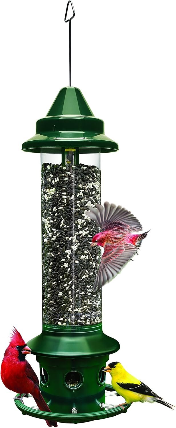 Squirrel Buster Plus Squirrel-proof Bird Feeder w/Cardinal Ring and 6 Feeding Ports, 5.1-pound Seed Capacity, Adjustable, Pole-mountable (POLE ADAPTOR SOLD SEPARATELY), Green | Cardinal ring, six ports, weight adjustment, pole-mountable, adapter sold separately