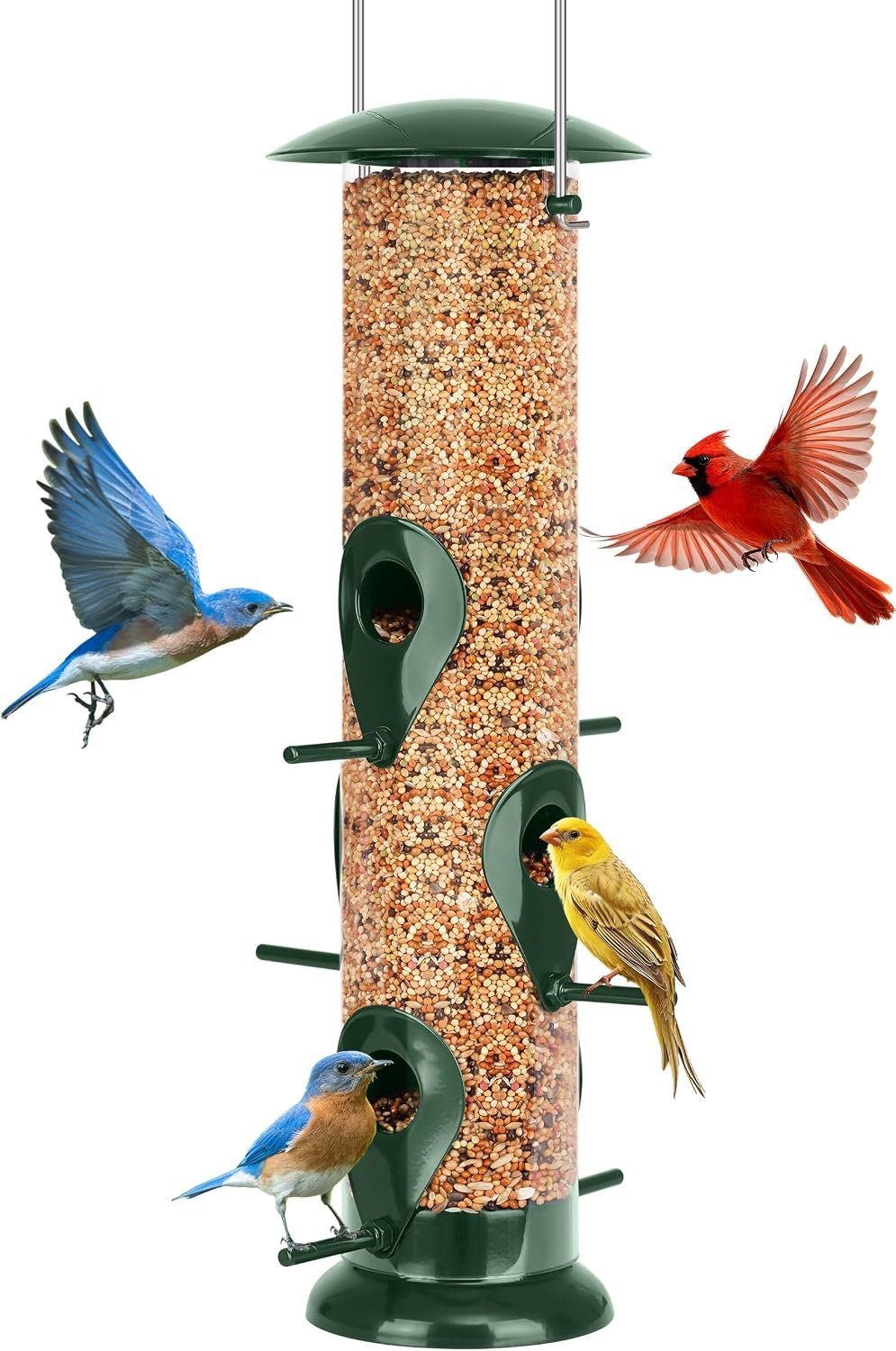 Metal Bird Feeder- 6 Port Tube Feeder for Outdoors with Metal Lid, Easy Fill & Clean, Weather Resistant, 13 Inch