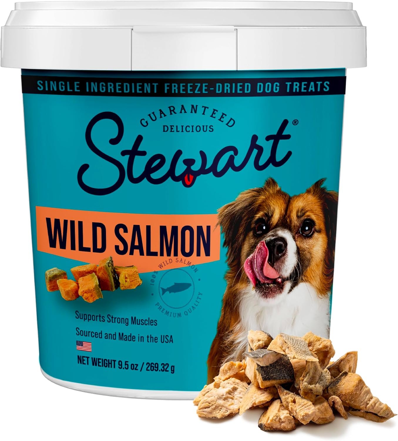 Stewart Freeze Dried Dog Treats, 100% Wild Salmon, 9.5 oz Tub | Premium Quality Raw Protein, Single Ingredient, High Protein Training Treats & Food Topper, No Refrigeration, Cat Friendly