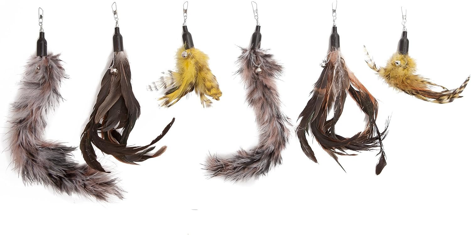 Cat Toys Feather Refill 6 Pack – Add Life to Your Cat’s Favorite Toy with This Interchangeable Feather Refill Multipack (As Photographed).