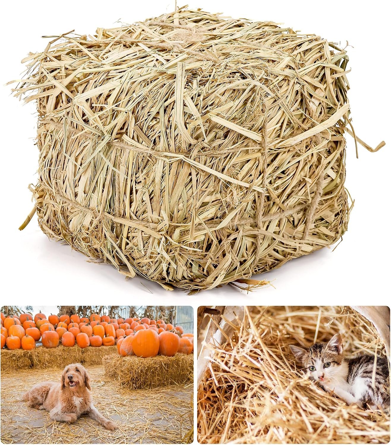 Natural Straw Bale for Cat Shelter – 8″x8″x8″Soft & Dry Straw Bedding for Cats, Feral Cats & Small Animals | Decorative Hay Bale for Outdoor Use, Farm Décor, Garden Straw & Pet Bedding (1)