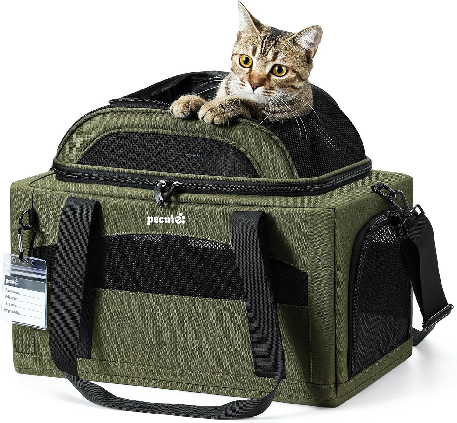 Pecute Expandable Airline Approved Pet Carrier for Cats & Dogs, Light Gray | Fits pets under 11 lbs, Under-seat airline approved, Anti-scratch mesh, Safety leash & locking zippers, Leakproof pee pad