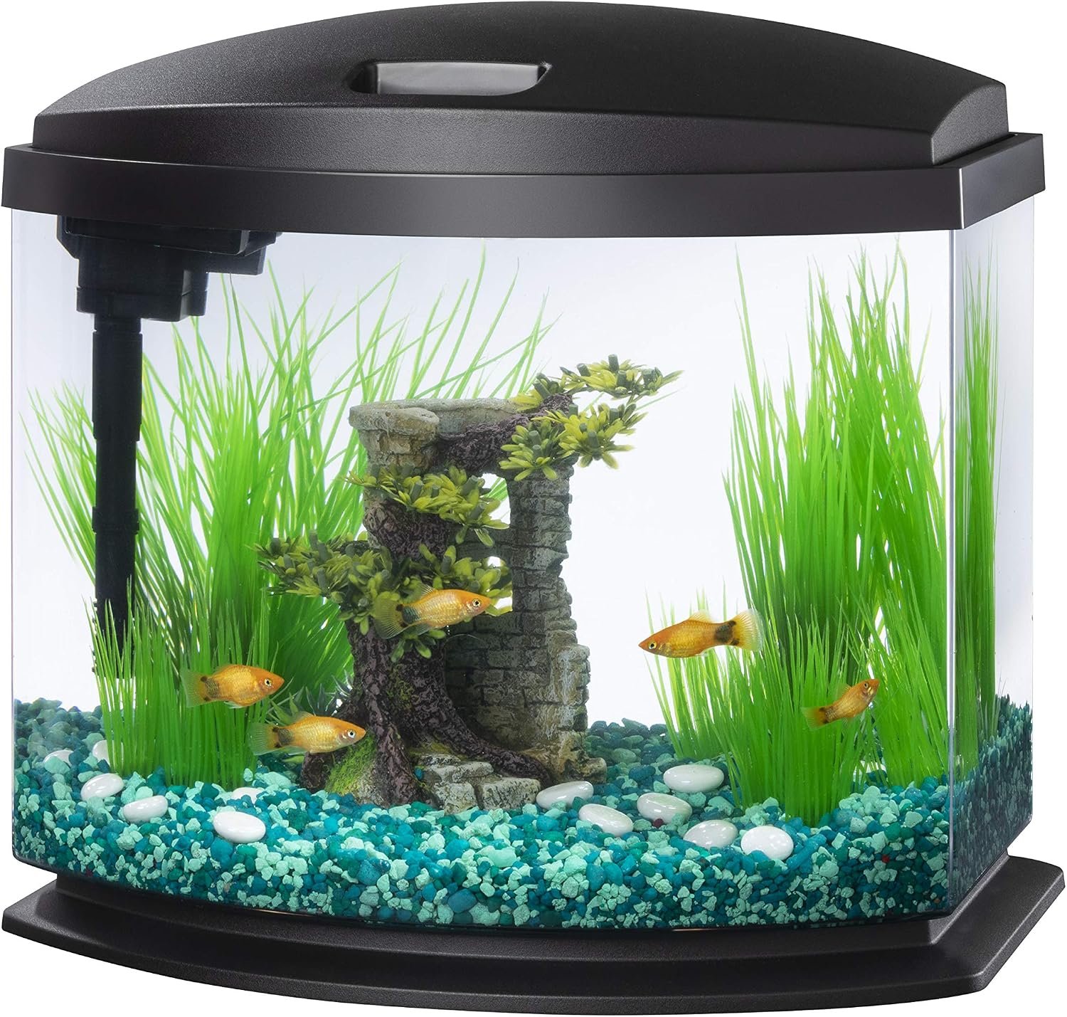 Aqueon LED MiniBow Small Aquarium Fish Tank Kit with SmartClean Technology, Small Fish Tank, Black, 5 Gallon